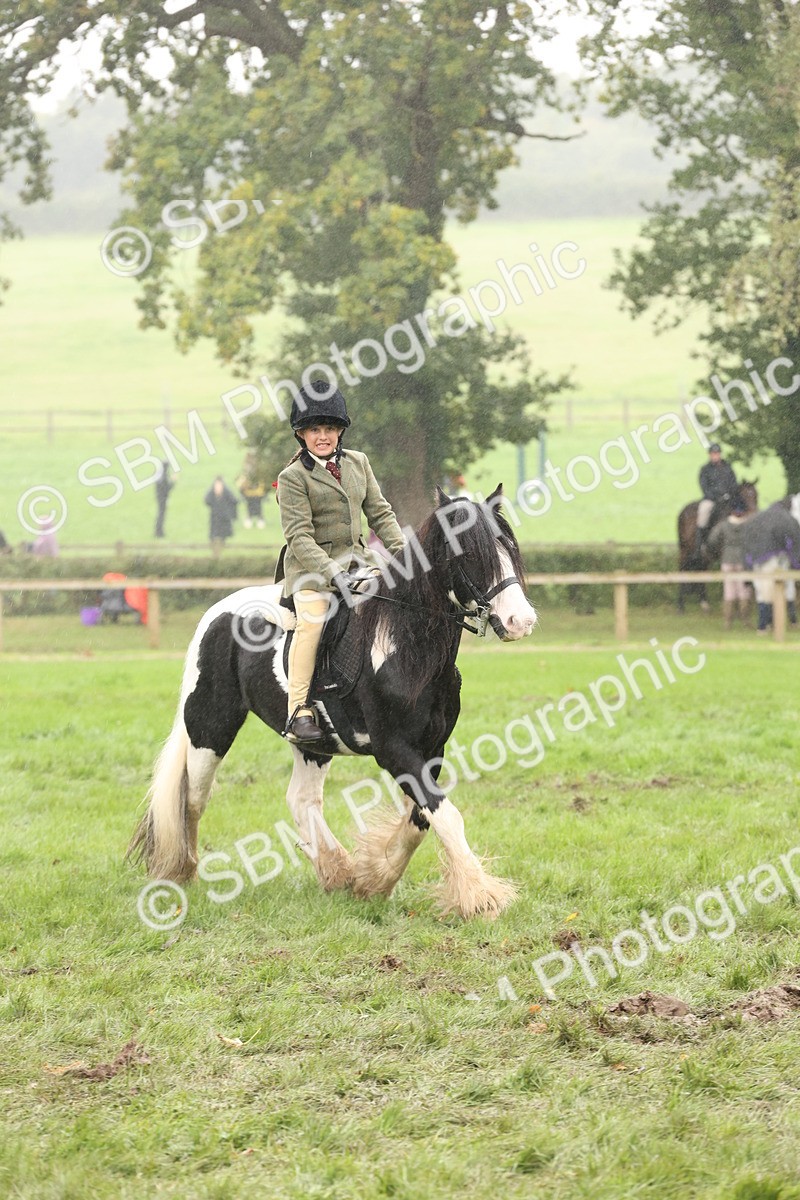 SBM_72839 - S70 - Traditional Cob Ridden