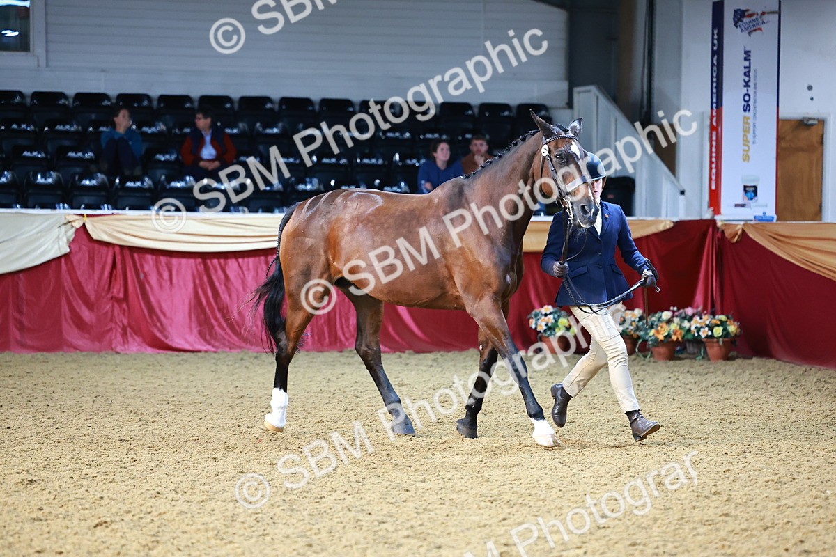 SBM_21788 - Class 901 - Supreme Final - IH  Diamond