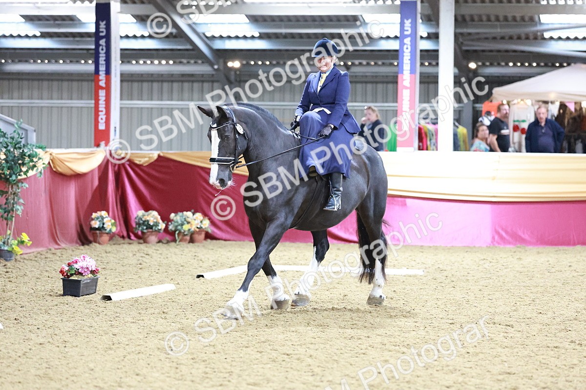 SBM_09913 - Class 61 - Dressage to Music