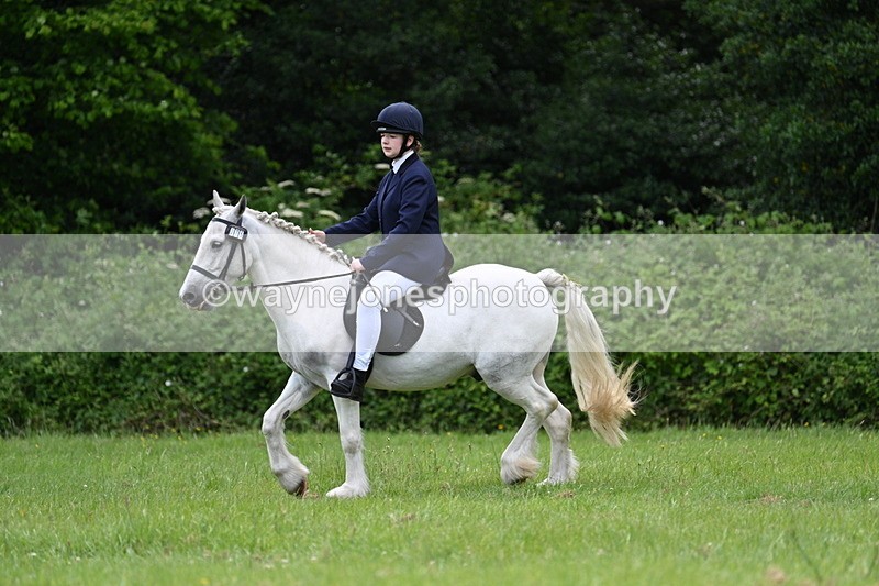 WJ7_2618 - Class 12A Coloured Class