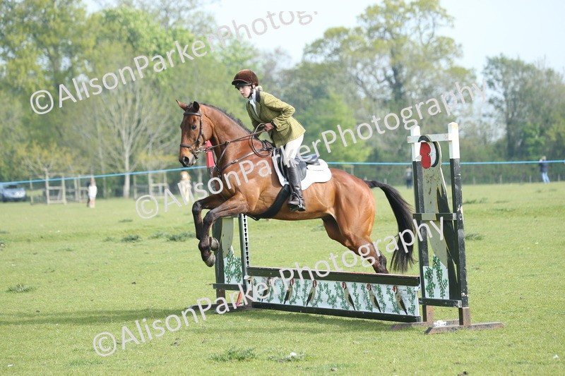 20260426-0085 - Class 13 - Rookie Jumping 50cm