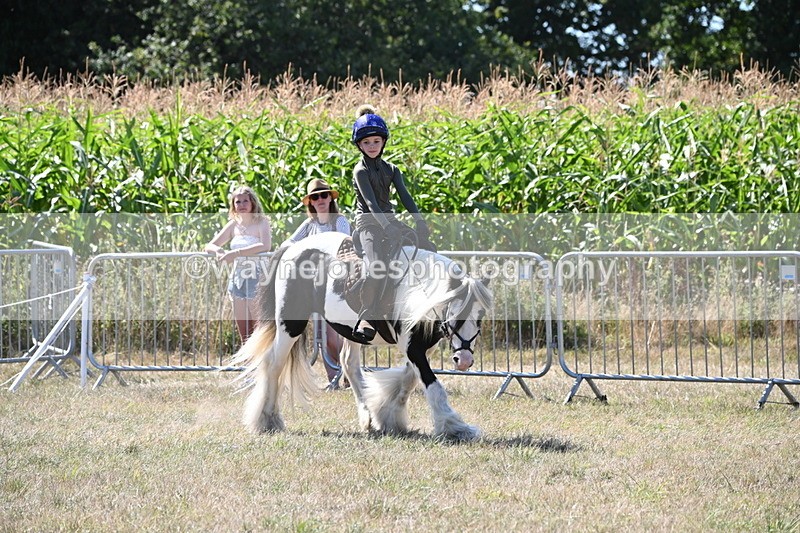 WJ6_8961 - Class 38 Ridden Riding Horse/Pony