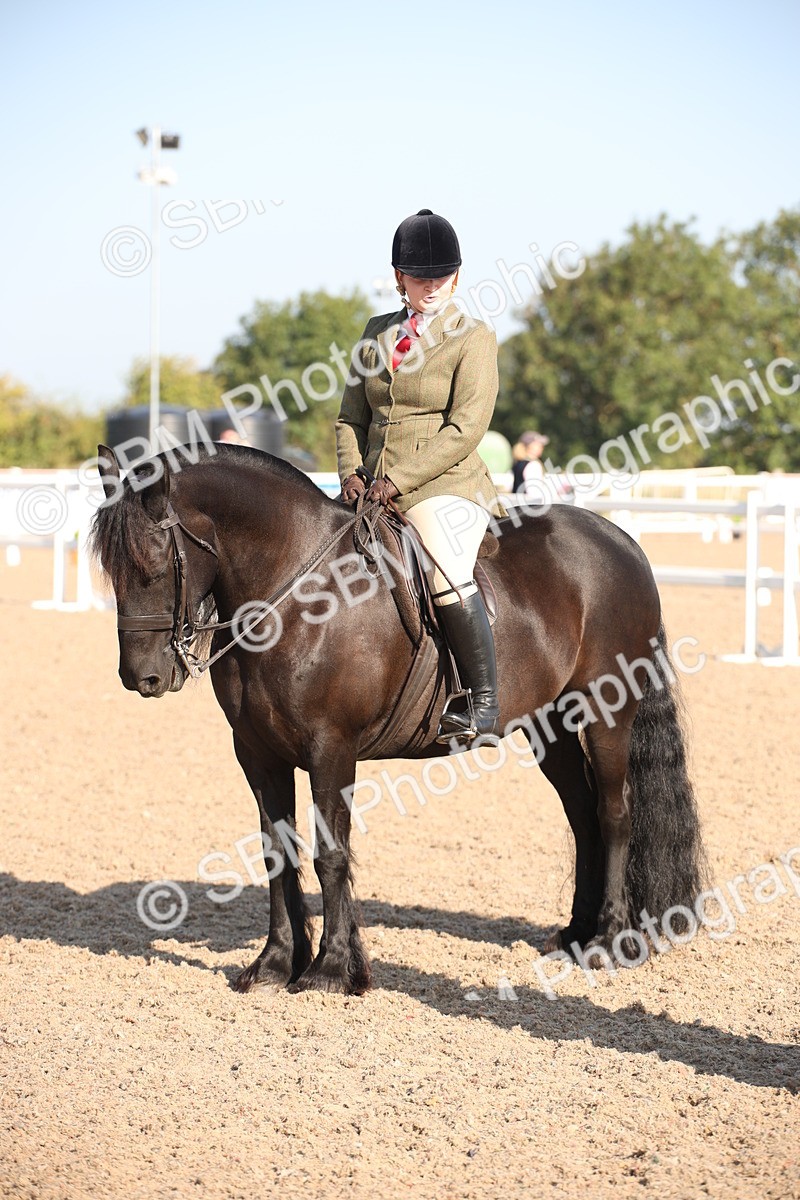 SBM_00733 - Class 14 Ridden M&M Wildcard