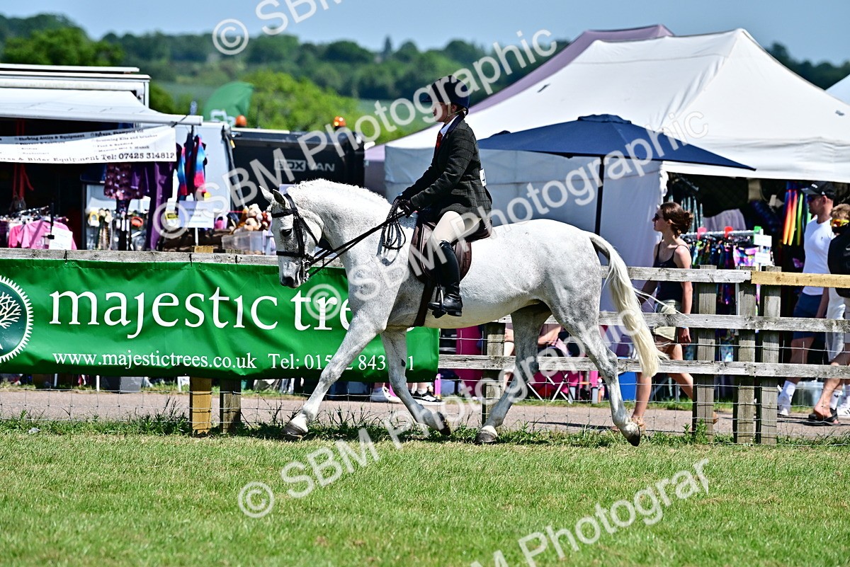 SBM_17459 - Class 95-97 - BSPS LHS Performance Ponies