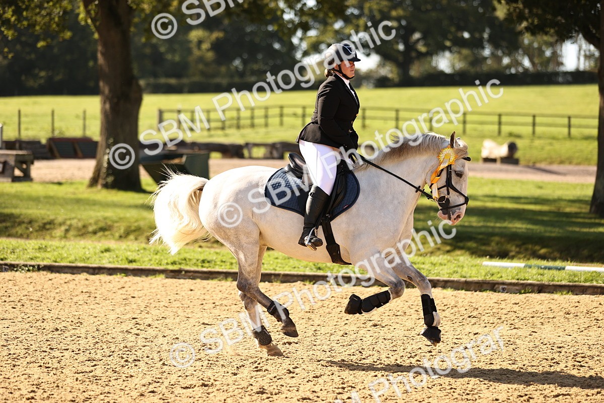 SBM_35242 - J38 - Senior 80cm Championship