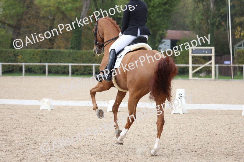 20251012-0804 - Class 9 - Advanced Medium 3