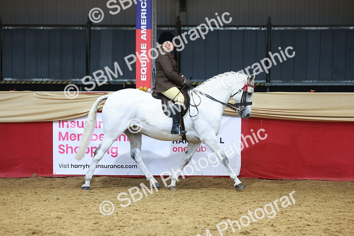 SBM_12415 - Class 103 - HOYS Veteran Qualifier - Ridden Pre Vet