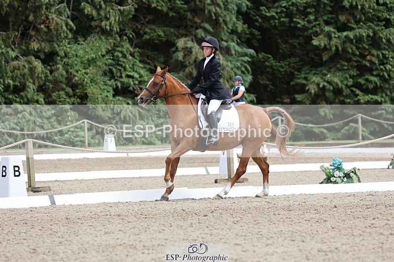 250718A-145241-02305 - 107-Beatrice.Coker-Brown-Portia.the.Fawn