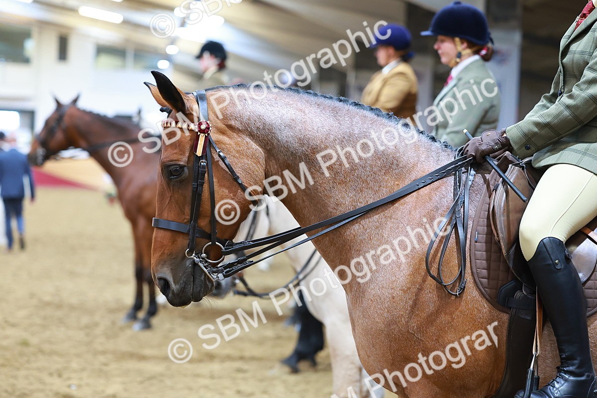 SBM_09458 - Class 102 - HOYS Veteran Qualifier - Ridden Veteran