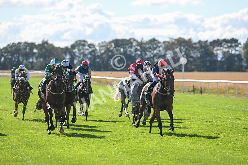 290825-Race 4-Eternal Sunshine-9008 - Race 4