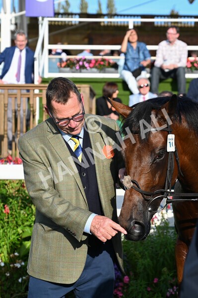 yr08102021r4-50 - Race 4 3.50pm Casumo Dare To be Different Handicap