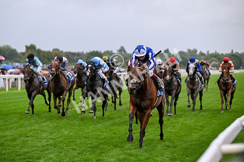 200826-Race 3-The Lost King-3369 - Race 3 15.00pm Sir Kevin Sinfield 7 In 7 Grand Finale Handicap