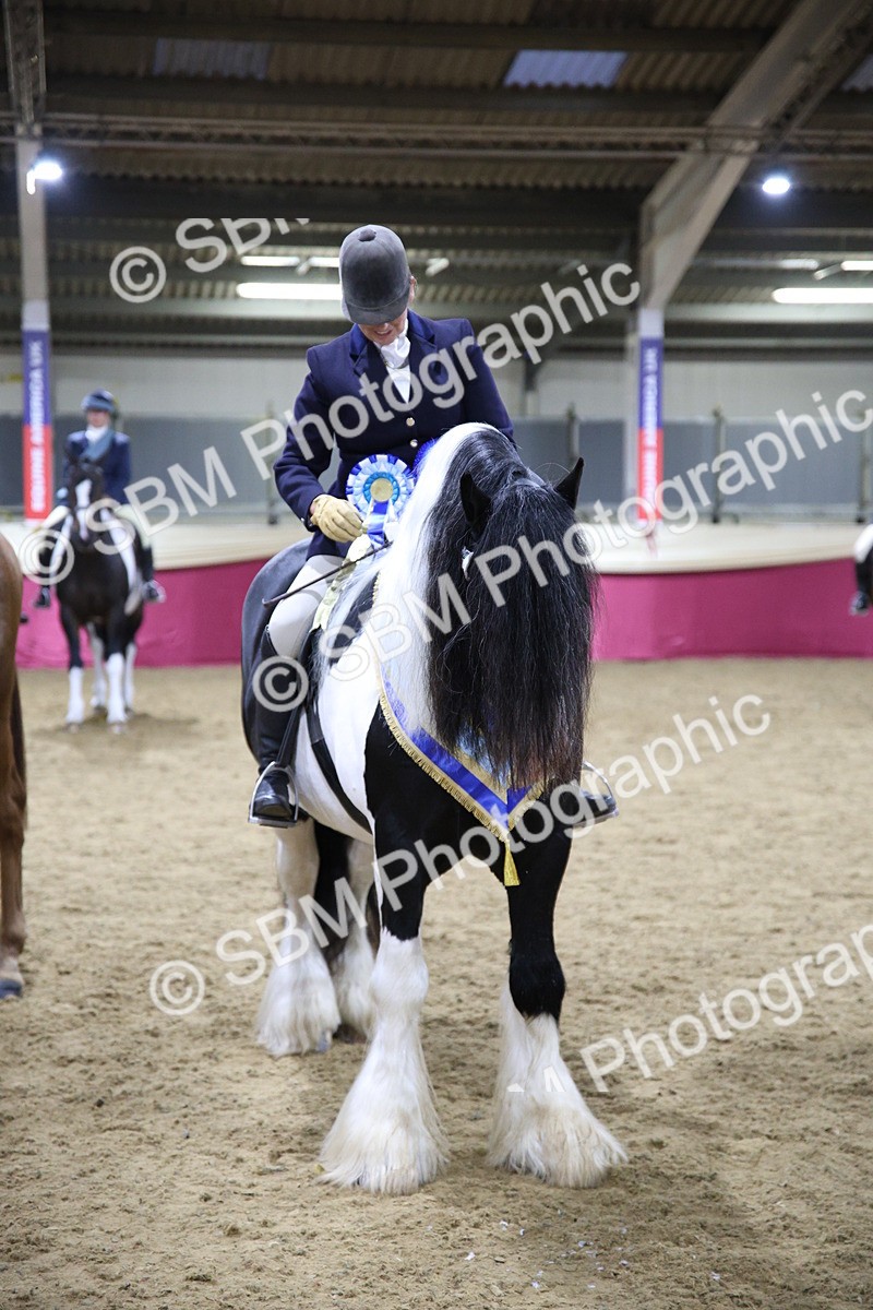 5K7A1534 - Class M Ridden Pairs Champ