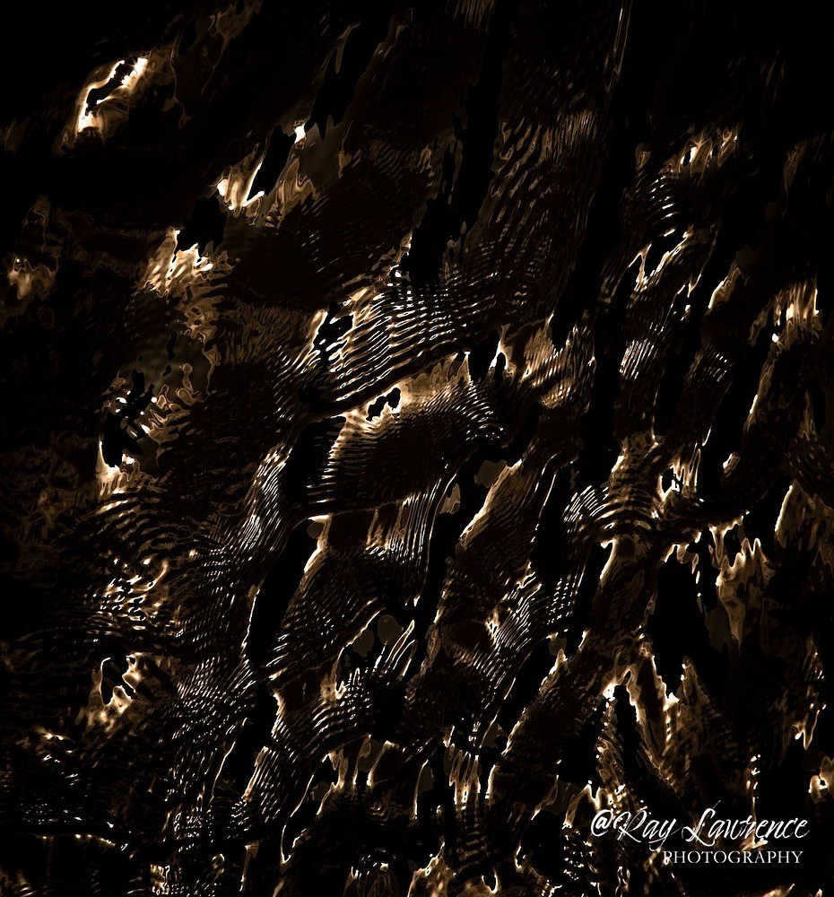 Camouflage_RLP2358 - Double Take