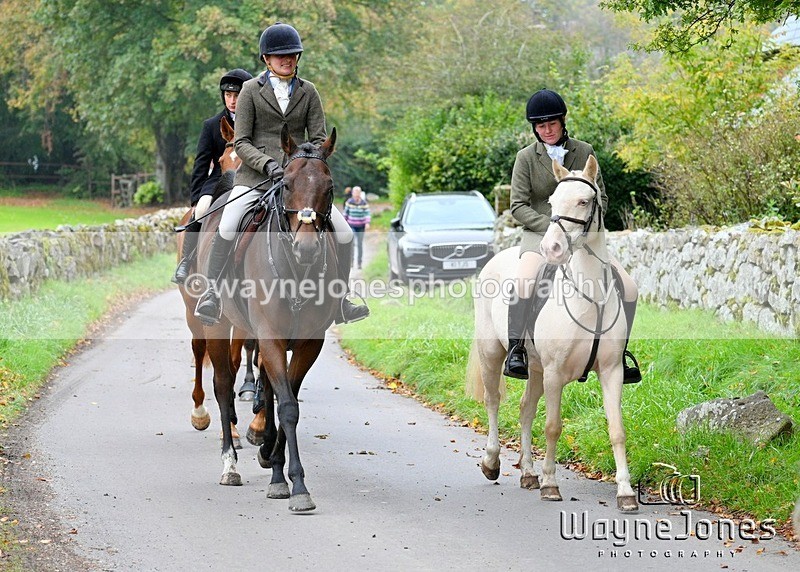 WJ7_3361 - Edited examples