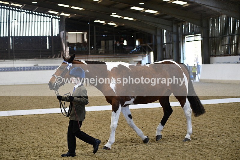 WJ5_3828 - Class 5 In Hand Veterans