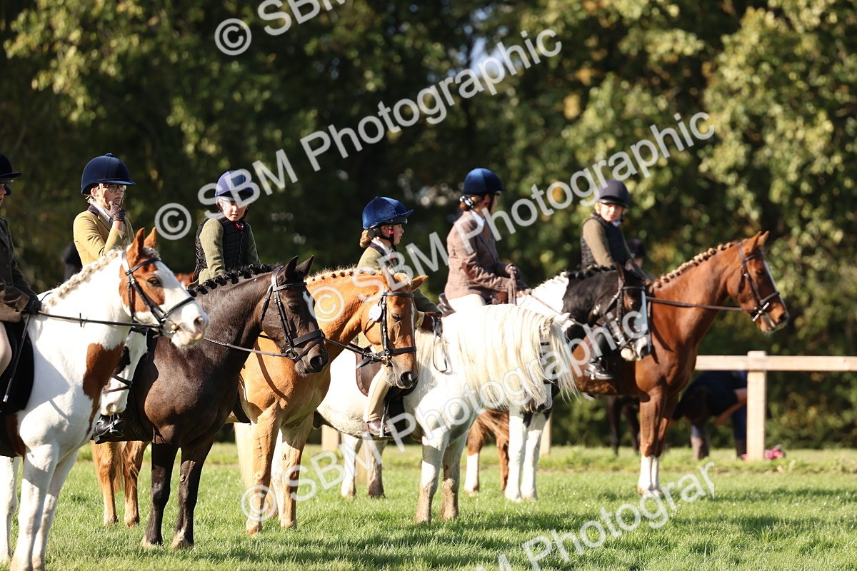 SBM_52466 - S13 - Pony Club Pony