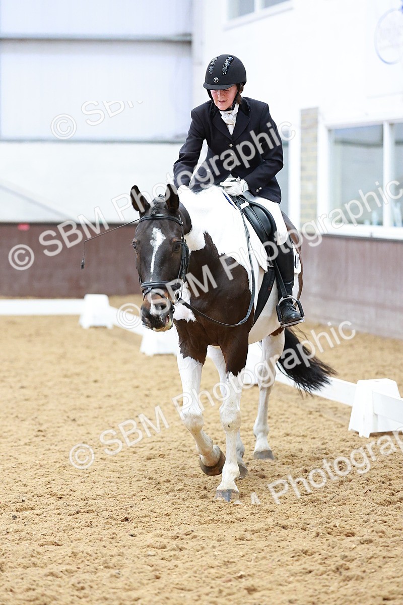SBM_003006 - Class 14 - Novice 2