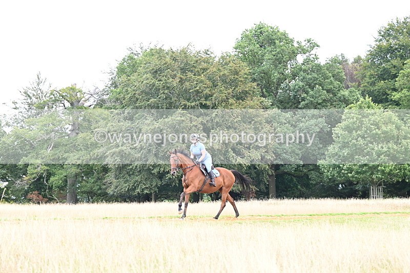 DSC_7624 - Time at Statue 13:16 to 13:52