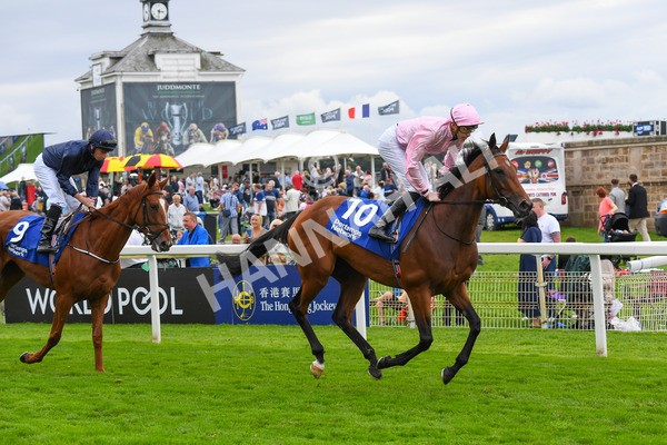 240823-Race 4-Warm Heart-0485 - Race 4 3.35pm Pertemps Network Yorkshire Oaks