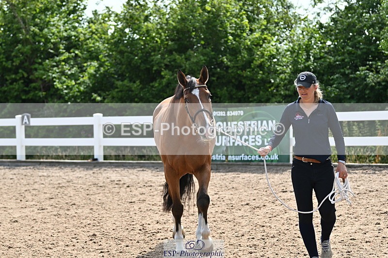 240717A-160254-03290 - Trot Up 4pm to 5pm