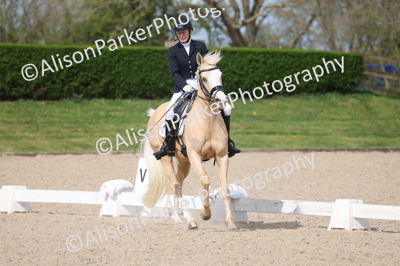 20260405-0203 - Class 3 - Novice 5