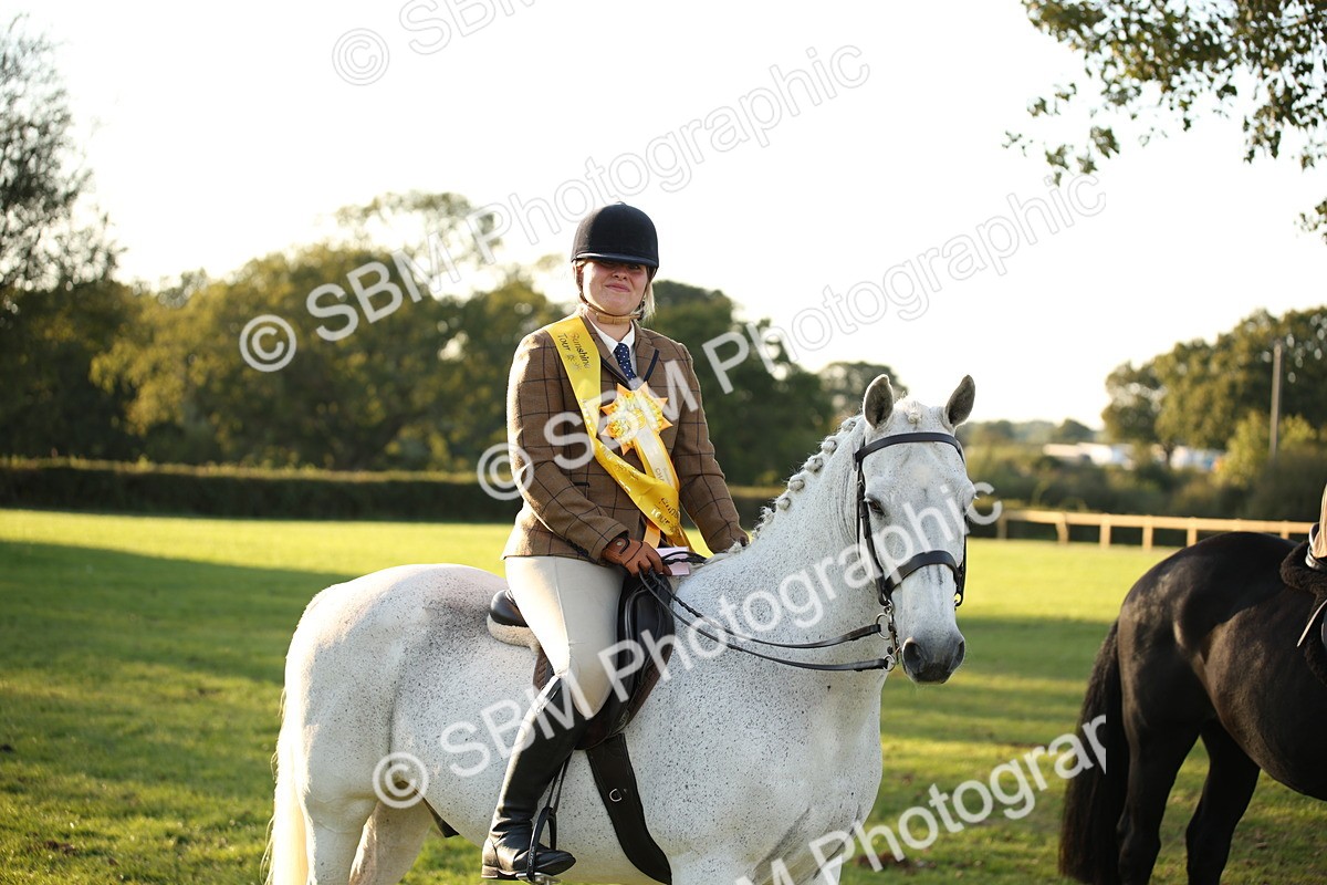 SBM_54489 - S27 - Mature Veteran - Ridden