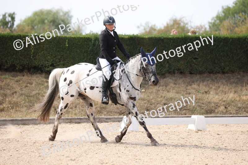 20250819-1574 - Class 5 - Novice 3