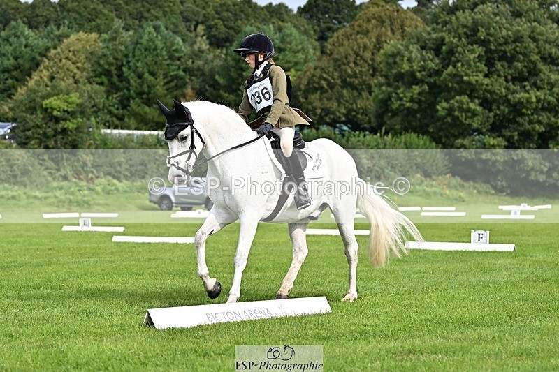 230826-095958-16330 - Sections A & B - 9 to 10am