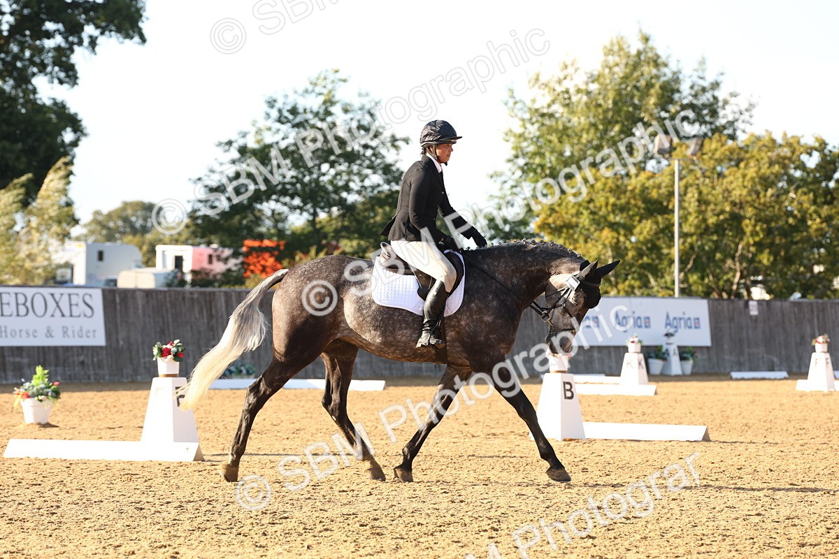 SBM_52812 - D12 - Small Tour Championship prelim 2