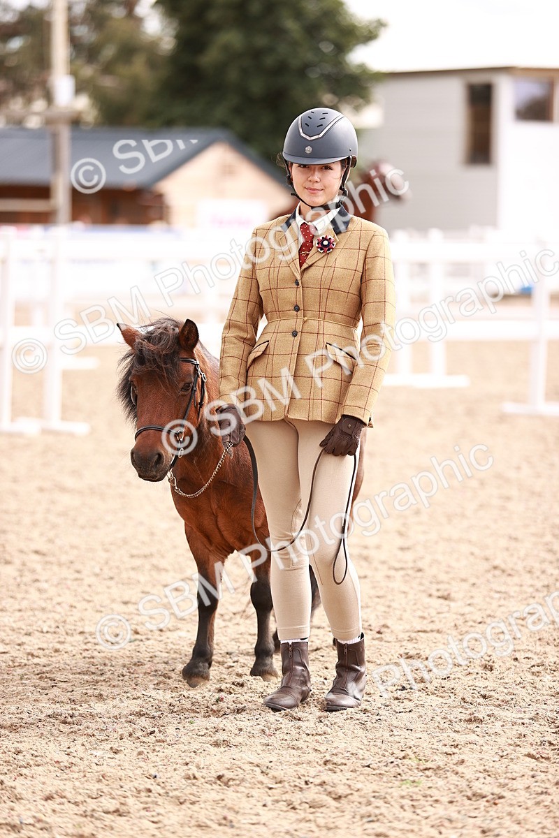 SBM_18255 - Class 416 - Prettiest Mare (IH or Ridden)Jnr