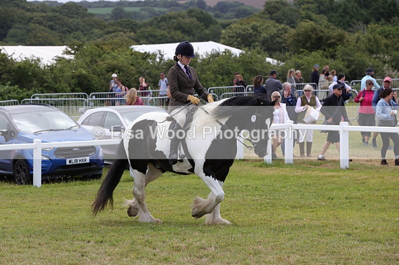 1X9A4516 - Class 34: Veteran Ridden