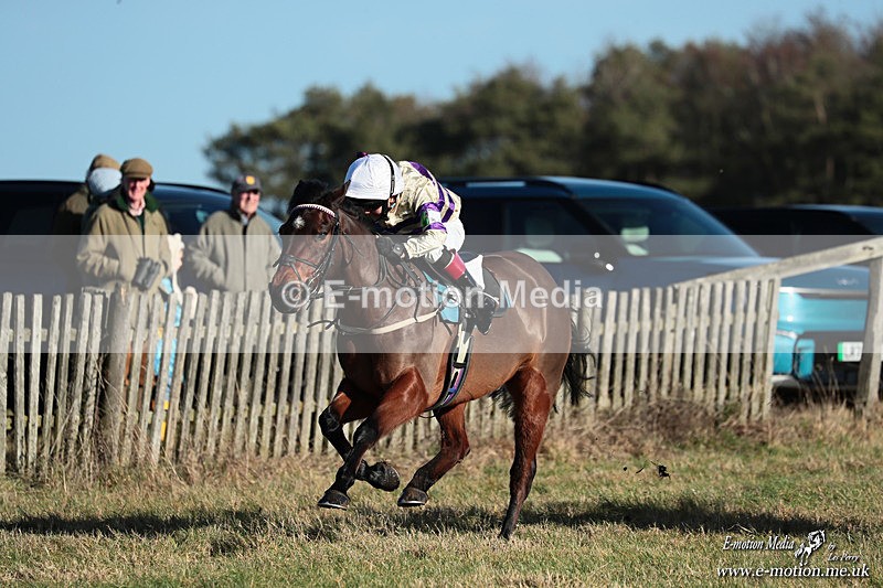 PR PtP 240126 84 - Pony Racing Horseheath 24/01/26