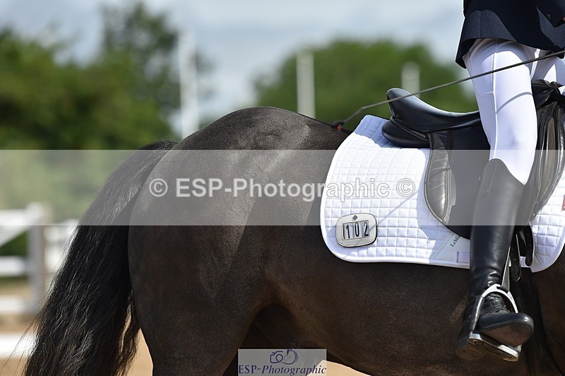 250622-101312-12899 - Quest Cls 19-24 Intro Tests