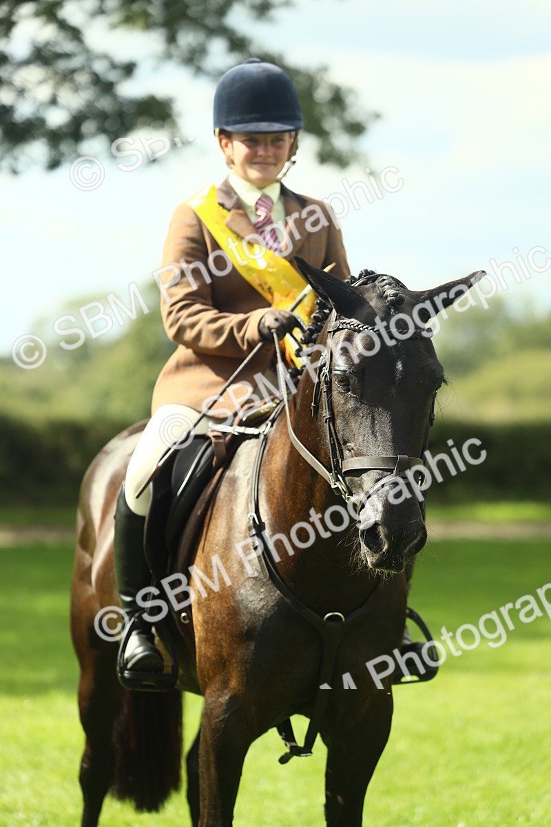 SBM_44975 - Working Hunter Pony Supreme Championship