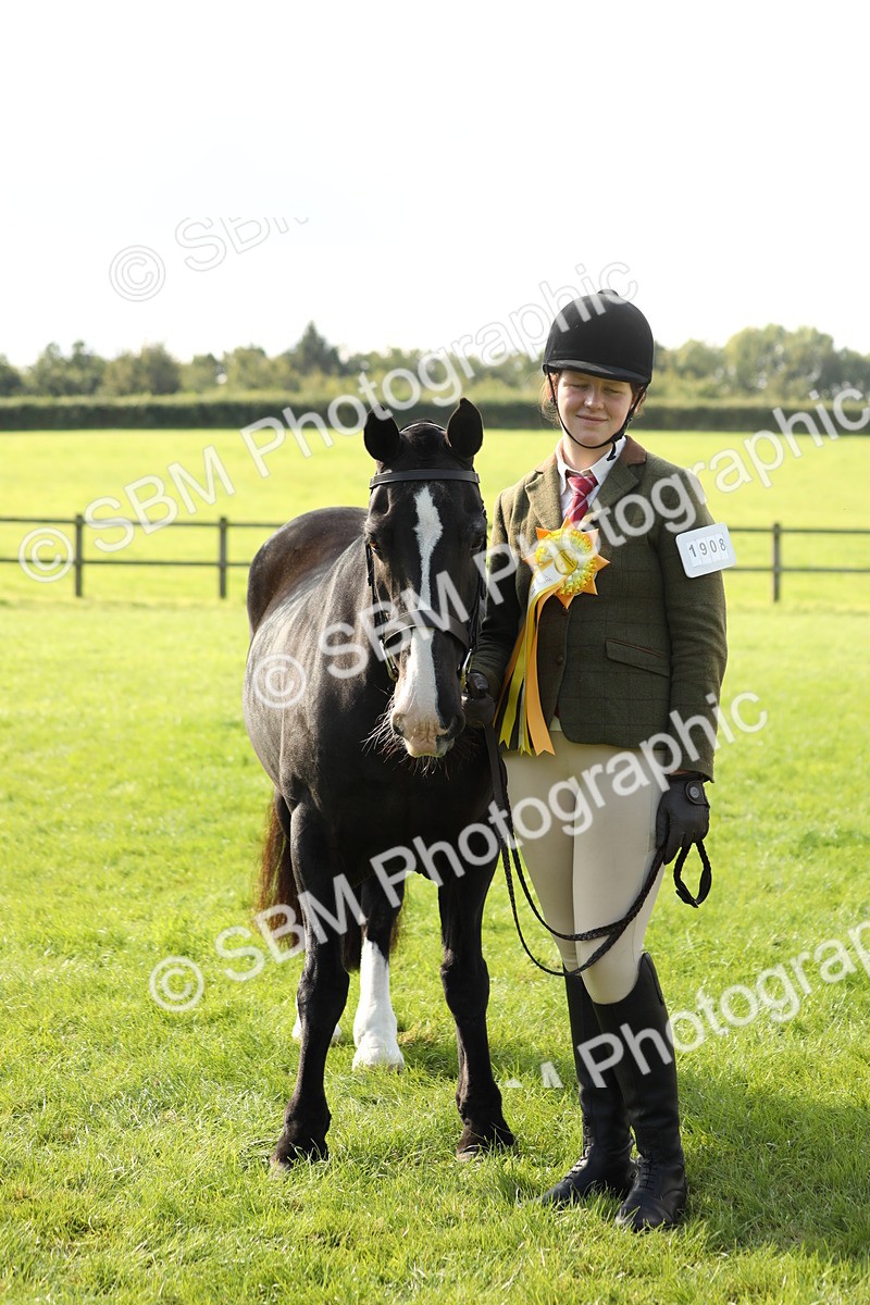 SBM_62360 - S45 - Mini Show Cob In Hand