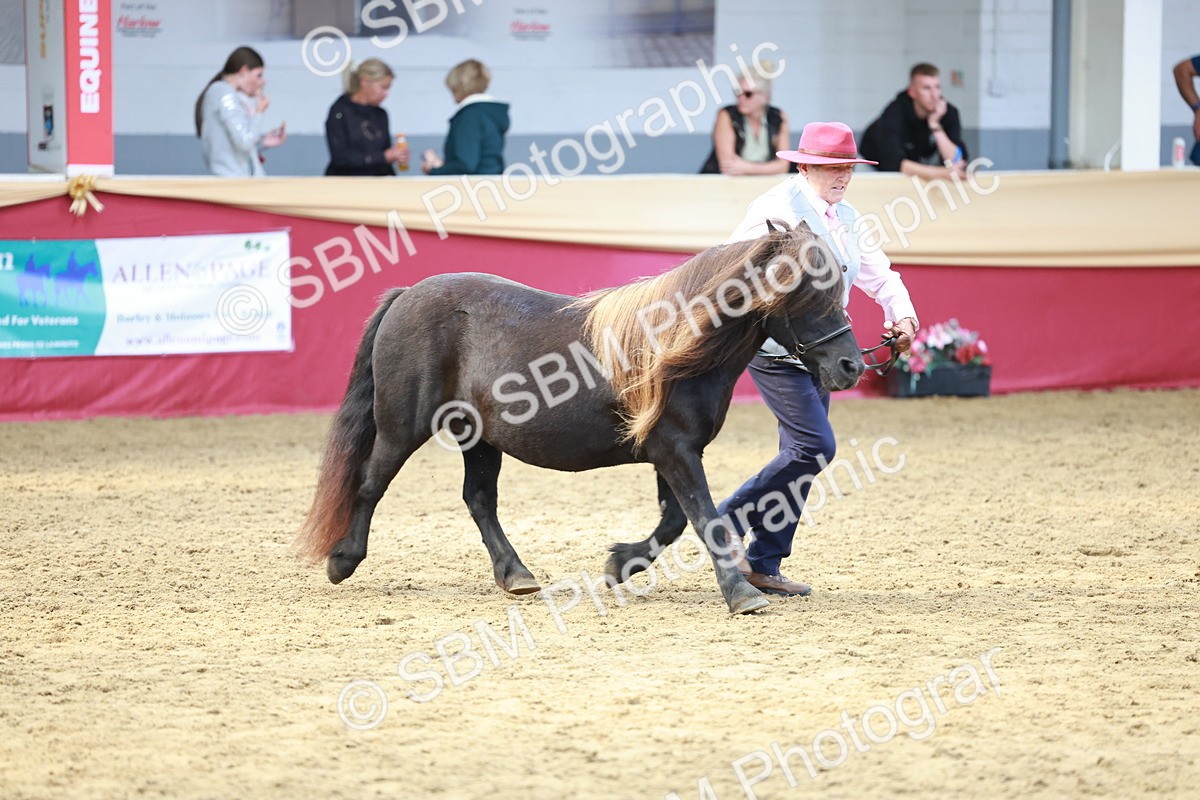 SBM_17499 - Class 951 - M&M IH Supreme Final