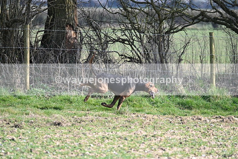 WJ7_5696 - Camera A