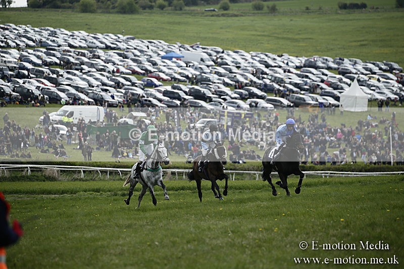 PtP 170417 64 - Old Berks Point-to-Point Lockinge 17/04/17