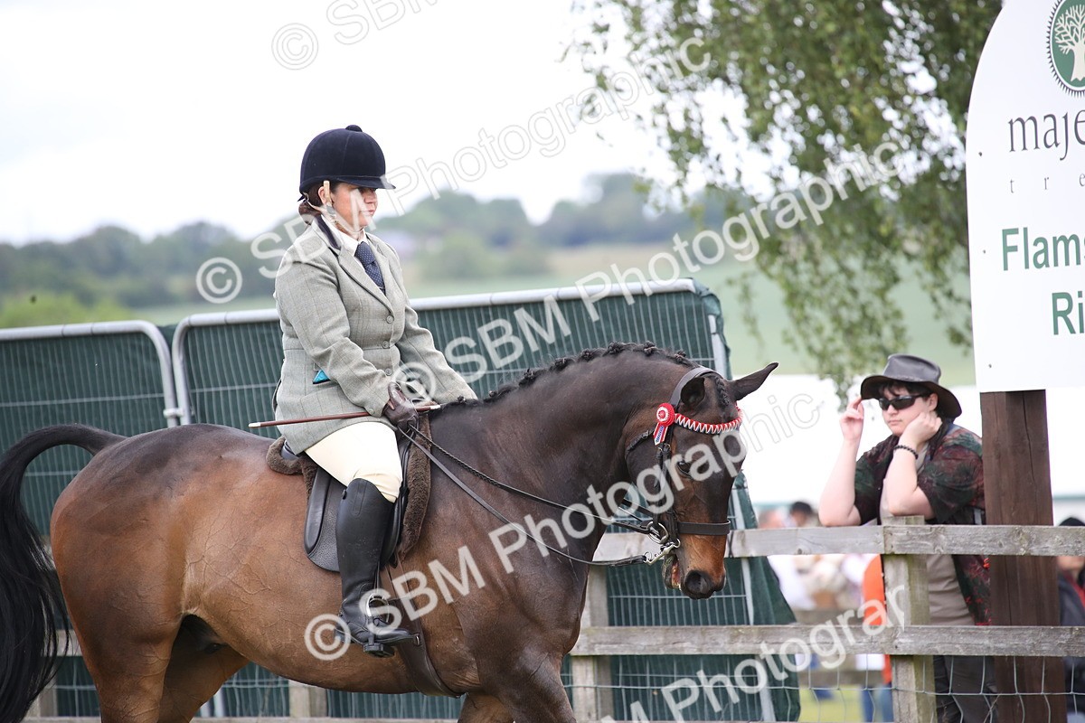 SBM_14135 - Class 113-114 - Retraining of Racehorses Ridden