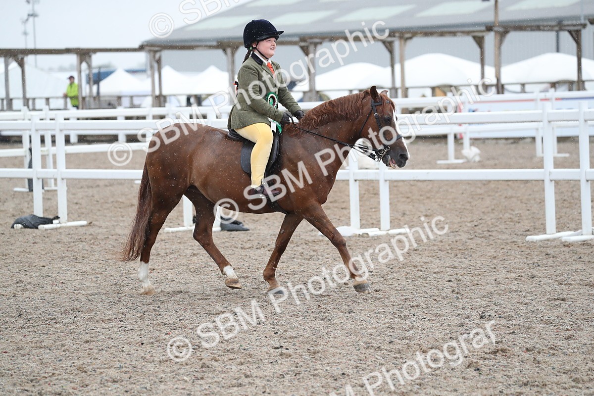 SBM_20535 - Class 601 - 2025 Area - Ridden Diamond