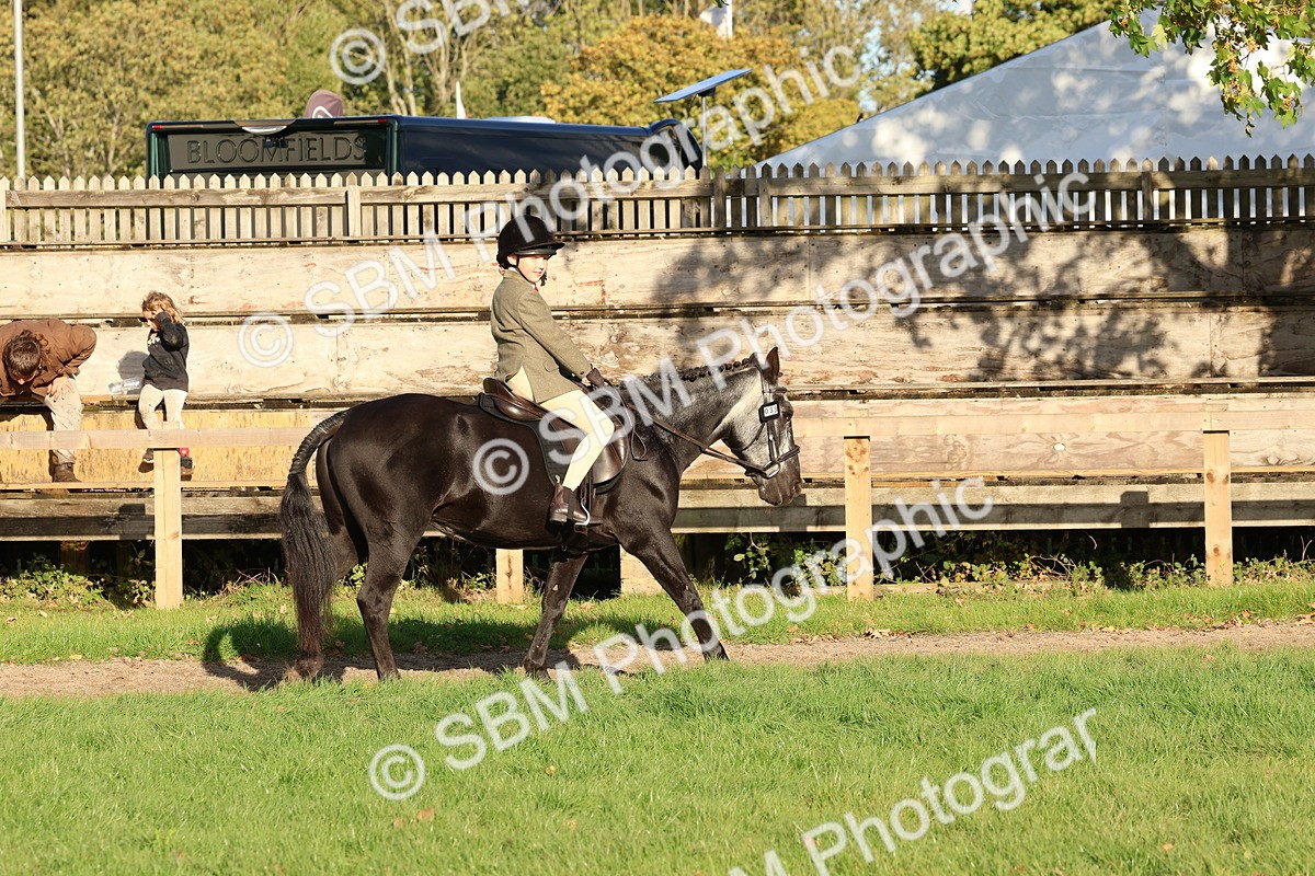 SBM_52987 - S29 - Mature Veteran Ridden