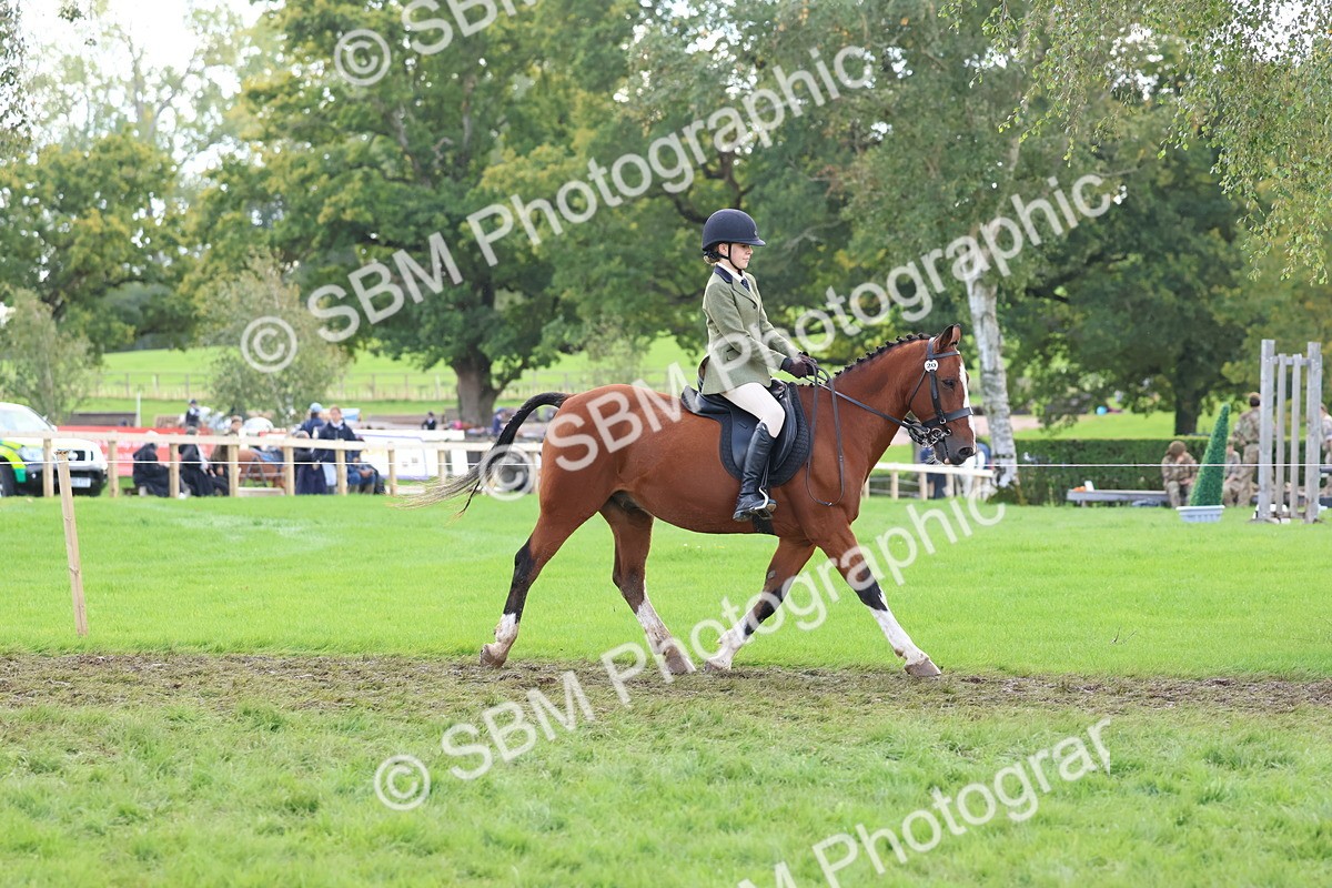 SBM_47630 - S28 - Veteran Ridden