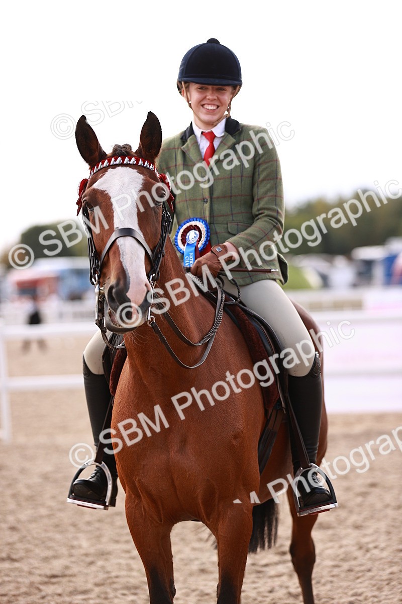 SBM_14490 - Class 410 - Grassroots Ridden - Horse