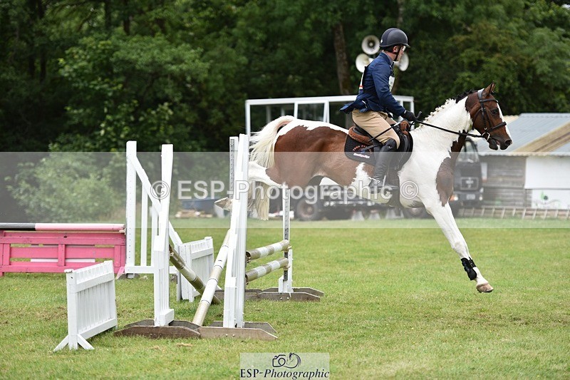 140102-225354-02701 - BE 80 SJ 12-20 to 13-00