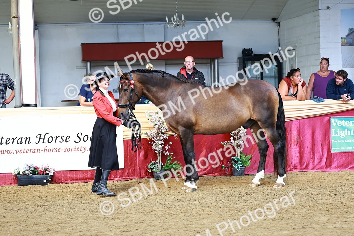 SBM_22361 - Class 902 - Supreme Final - IH Diamond