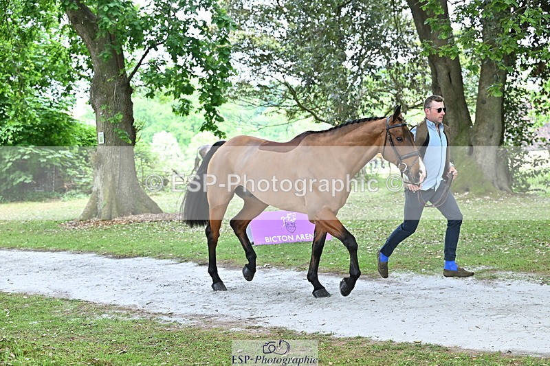 250521A-152613-00507 - B-312-Mark.Davidson-THE.BOSSMAN