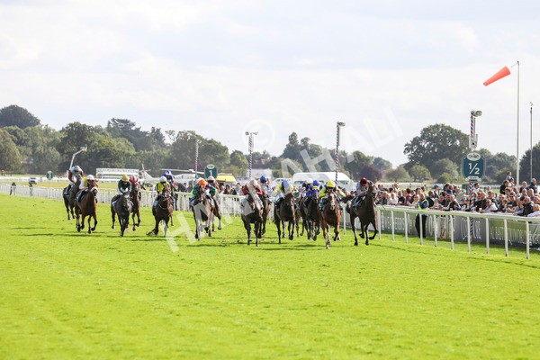 230824-Race 5-Canoodled-8483 - Race 5 4.10pm Assured Data Protection EBF Fillies' Handicap