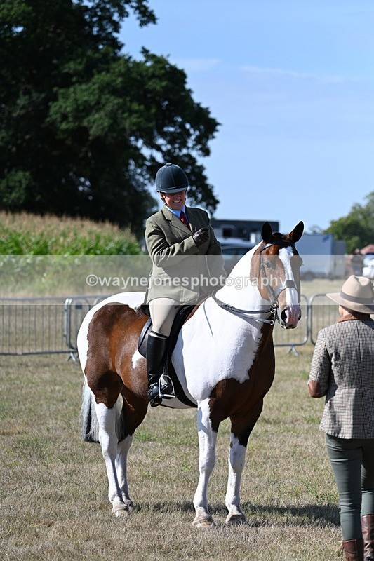 WJ7_3180 - Class 8 Ridden Tack & Turnout