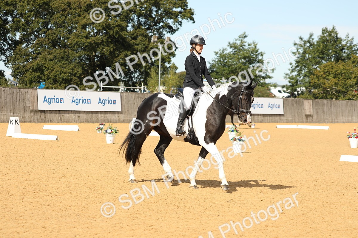 SBM_22160 - D17 - Grand Tour Championship - Novice 27